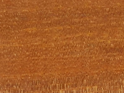 1200 SARI
